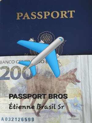 cover image of Passport Bros